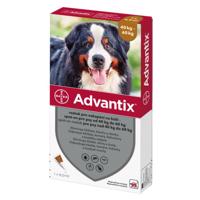 Advantix pro psy 40-60kg spot-on 1x6ml