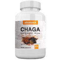 Allnature Chaga 100 kapslí