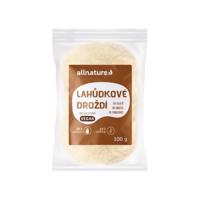 Allnature Lahůdkové droždí neaktivní 100g