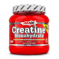 Amix Creatine monohydrate 300 g