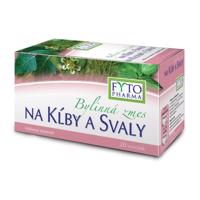 Bylinná směs na klouby a svaly 20x1.25g Fytopharma