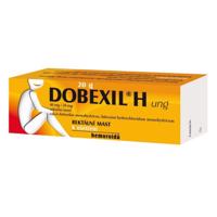 DOBEXIL H UNG 40MG/20MG rektální mast 1X20G II