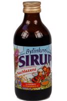 Dr. Bojda SIRUP BYLINKOVÝ Nachlazení extra silný s medem 325 g