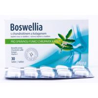 Favea Boswellia s chondroitinem a kolagenem tbl.30