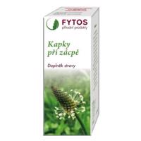 FYTOS Kapky - Zeměžlučová směs 20 ml