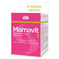 GS Mamavit 1 Plánování a 1.trimestr tbl.90