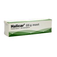 HALICAR mast 25G