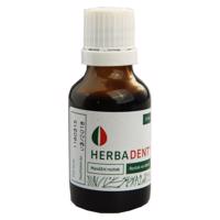 HERBADENT GNG SOL 1X25ML