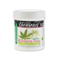 HerbExtract Cannabis konopná mast 125ml