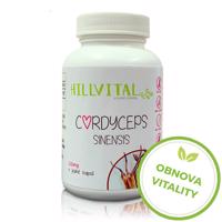 HillVital Cordyceps sinensis 60 kapslí