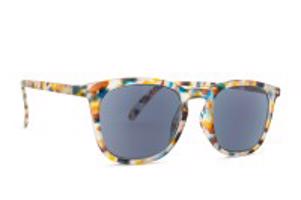 Izipizi Reading Sun #E Blue Tortoise