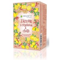 Megafyt Ovocný Zázvor s citrónem a chilli 20x2g