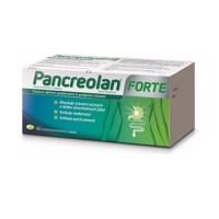 PANCREOLAN FORTE 6000U enterosolventní tableta 60