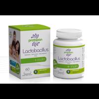 Protopan Lactobacillus + inulin tob.60