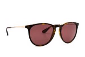 Ray-Ban Erika RB4171 639175 54