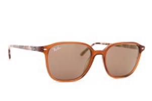 Ray-Ban Leonard RB2193 663693 53