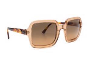 Ray-Ban RB2188 130143 53