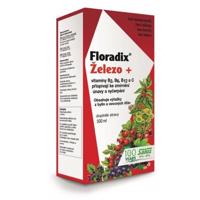 SALUS Floradix 500ml