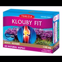 TEREZIA Klouby fit 60 kapslí