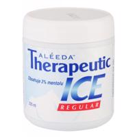 Therapeutic Ice Analgesic Gel - masážní gel 220ml