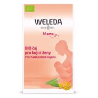 WELEDA Čaj pro kojící ženy porcovaný 20x2g 40g