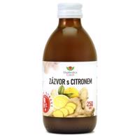 Zázvor s citronem 250ml EKOMEDICA